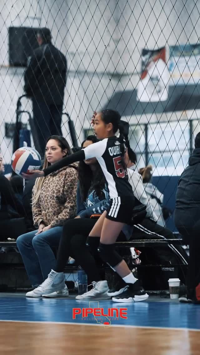 12 Adidas is killing it so far this season!! 🔥🔥#work #allin #pipeline #allin🇺🇸 #win